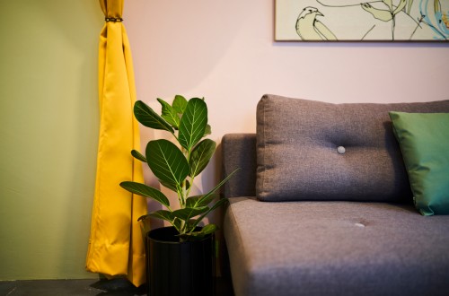 STÚDÍÓÍBÚÐ Í BAKHÚSI